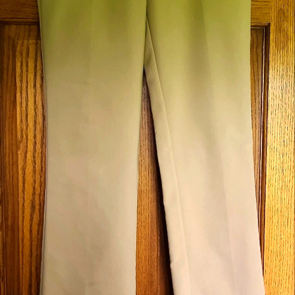 Express Columnist - image 2